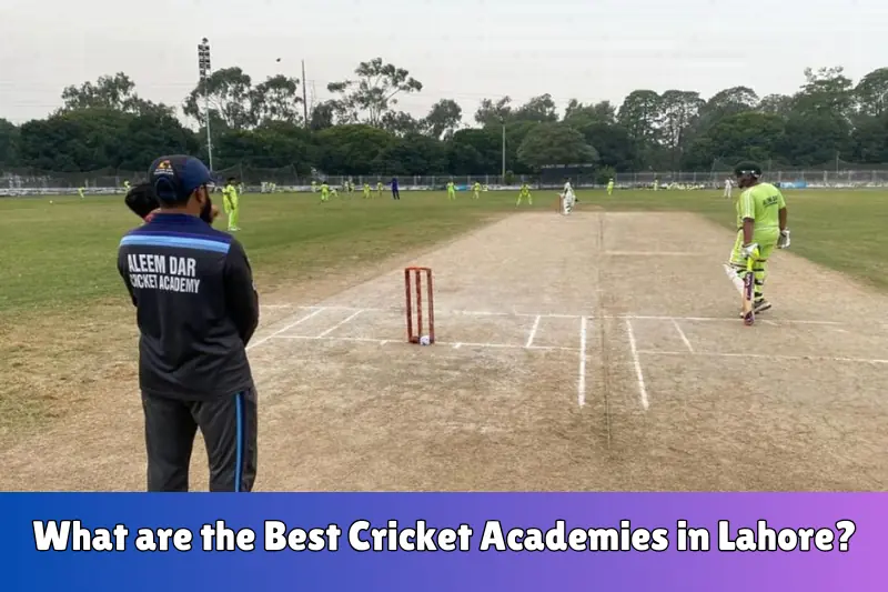 what are the best cricket academies in lahore